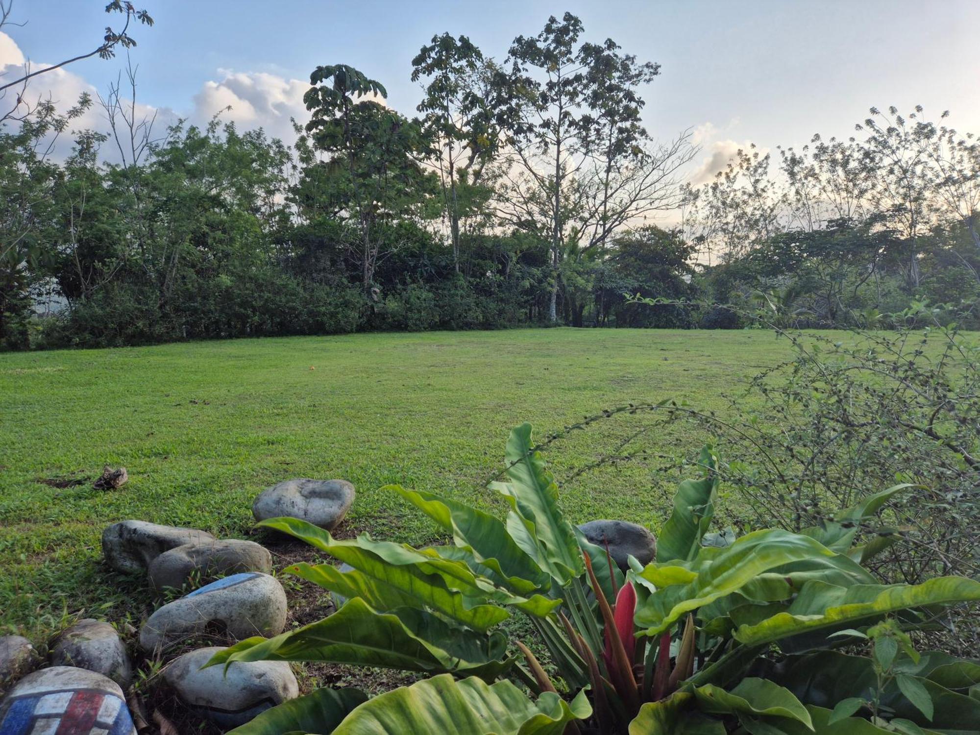 Casas De Campo Las Pavitas Cottages "Red Frog" Palma  Ngoại thất bức ảnh
